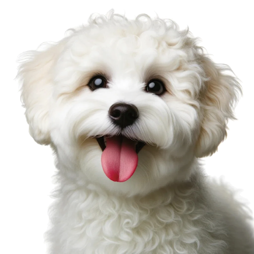 Owol Mascot